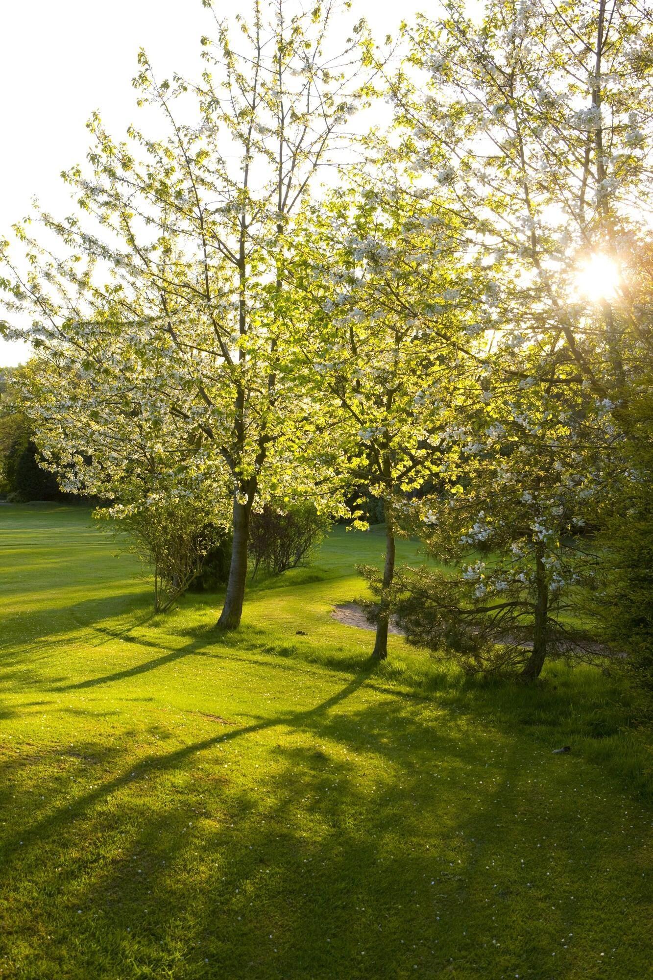 St. Pierre Park Hotel & Golf Saint Peter Port Dış mekan fotoğraf